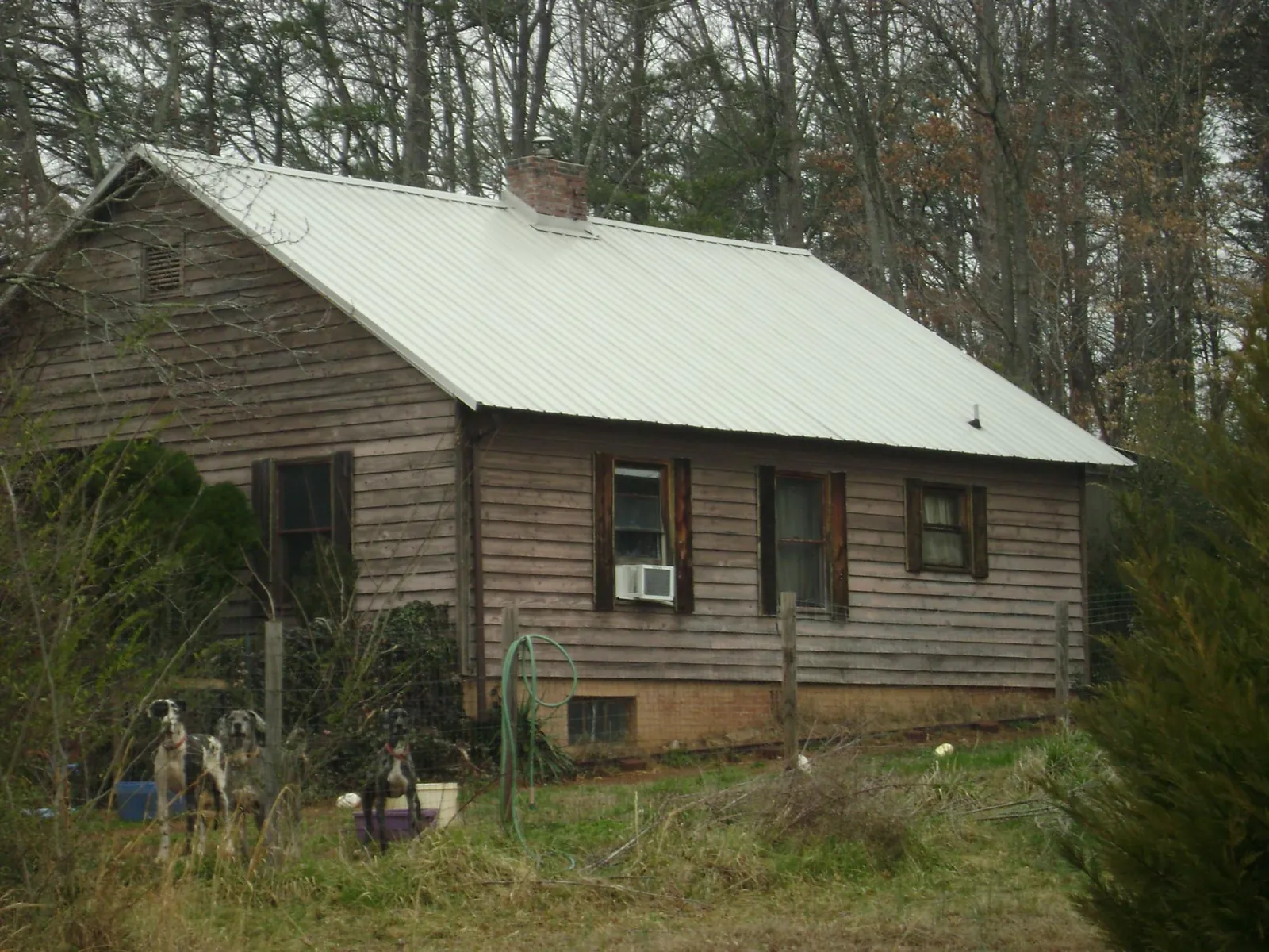 White metal roof on an old wood sided farmhouse, from a Asphalt Shingle Roof Repair job in Bigelow